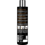 Шампунь для волос PHARMA GROUP питательный Argan Oil + Coenzyme Q10, 250 мл: цены и характеристики