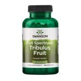 Трибулус Swanson Tribulus Fruit 500 мг, 90 капс.
