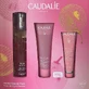 Набор Caudalie Rose de Vigne туалетная вода Rose des Vignes 50 мл + гель для душа 50 мл + крем для рук 30 мл