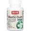 Мастиковая смола, 500 мг, Mastic Gum, Jarrow Formulas, 60 вегетарианских капсул