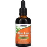 Листя оливи, гліцериновий екстракт у краплях, Olive Leaf Glycerite, Now Foods, 59 мл