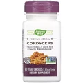 Кордіцепс 500 мг, Cordyceps, Nature's Way, 60 вегетаріанських капсул