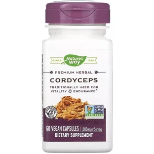 Кордицепс 500 мг, Cordyceps, Nature's Way, 60 вегетарианских капсул