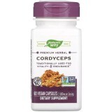 Кордіцепс 500 мг, Cordyceps, Nature's Way, 60 вегетаріанських капсул