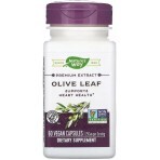 Оливковые Листья, экстракт премиум-класса, 250 мг, Olive Leaf, Nature's Way, 60 вегетарианских капсул: цены и характеристики