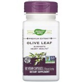 Оливковые Листья, экстракт премиум-класса, 250 мг, Olive Leaf, Nature's Way, 60 вегетарианских капсул