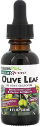 Листя оливи, екстракт у краплях без спирту, Olive Leaf, Natures Plus, 30 мл