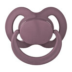Пустышка силиконовая Baby Nova ортодонтическая с кольцом для девочки размер 3 упаковка 2 шт: цены и характеристики
