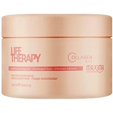 Маска для поврежденных волос Maxima Life Therapy для глубокого восстановления 250 мл: цены и характеристики