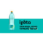 Ізота напій безалкогольний з вмістом соди, спеціального призначення, 950 мл: ціни та характеристики