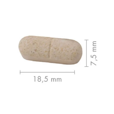 Витамины и минералы New Nordic Multivitamin active women 55+ для женщин таблетки, №90: цены и характеристики