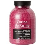 Сіль морська для ванн Corine de Farme (Корін де Фарм) Троянда, 1,3 кг: ціни та характеристики