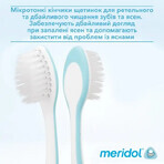 Зубная щетка Meridol для Защиты десен Мягкая набор 1+1 : цены и характеристики