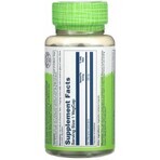 Диетическая добавка Solaray Витекс священный, 400 мг, 100 капсул: цены и характеристики