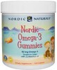 Дієтична добавка Nordic Naturals Риб&#39;ячий жир для дітей (мандарин), 120 жувальних цукерок