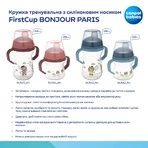 Кружка Canpol 56/613_blu тренировочная с силиконовым носиком и ручками 250 мл: цены и характеристики