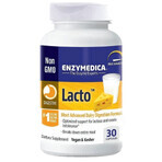 Диетическая добавка Enzymedica Ферменты для пищеварения, Лакто, 30 капсул: цены и характеристики