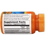 Диетическая добавка Thompson Витамин С (шиповник, ацерола), 1000 мг, 30 вегетарианских таблеток: цены и характеристики