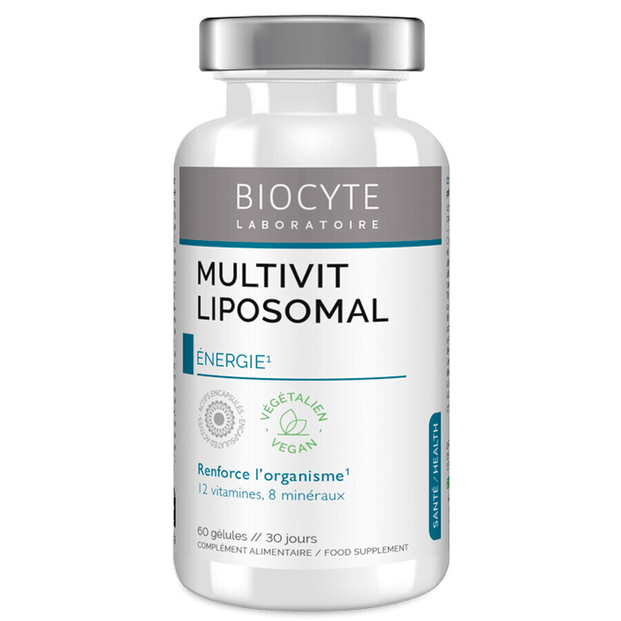Biocytе MULTIVIT  LIPOSOMAL Вітаміни та мінерали: Енергія та захист, 60 капсул: ціни та характеристики