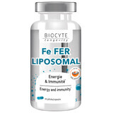 Biocytе FE FER LIPOSOMAL Железо + Витамины C и B12: Способствует образованию эритроцитов и гемоглобина, 30 капсул