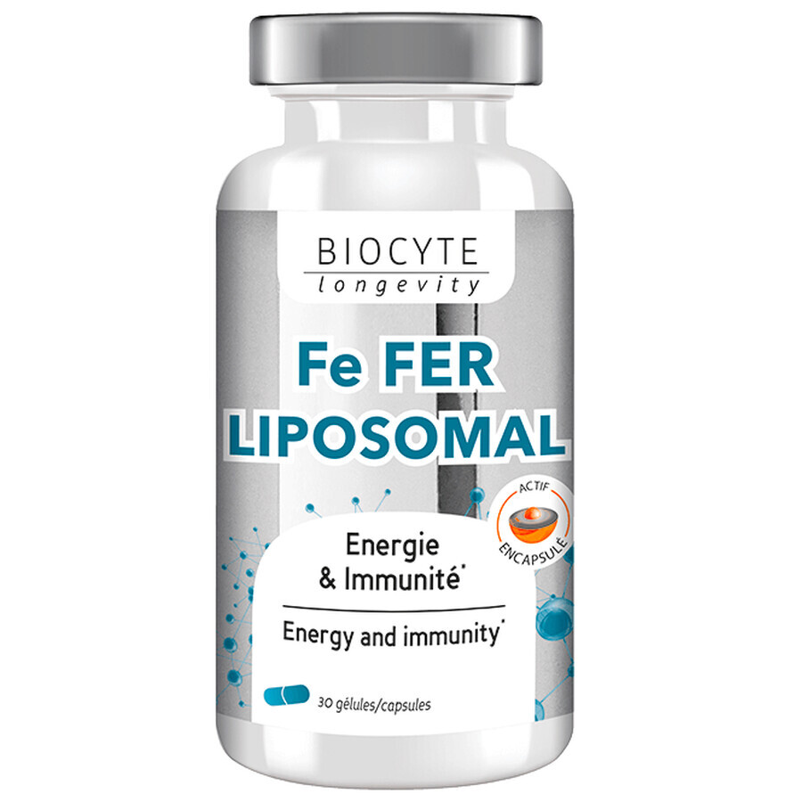 Biocytе FE FER LIPOSOMAL Залізо + Вітаміни C та B12: Сприяє утворенню еритроцитів та гемоглобіну, 30 капсул: ціни та характеристики