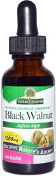 Черный орех, капли с низким содержанием алкоголя, 1000 мг, Black Walnut, Nature&#39;s Answer, 30 мл
