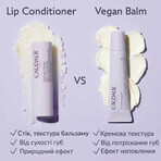 Бальзам для губ Caudalie Vinotherapist vegan восстанавливающий 7,5 мл: цены и характеристики