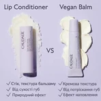 Бальзам для губ Caudalie Vinotherapist vegan відновлюючий 7,5 мл: ціни та характеристики