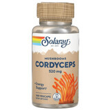 Solaray Грибы Кордицепс, 520 мг, 100 вегетарианских капсул