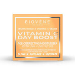Крем для обличчя Biovene з вітаміном С проти зморшок зволожуючий денний 50 мл : ціни та характеристики