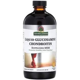 Глюкозамин-хондроитин жидкий, вкус апельсина, Liquid Glucosamine Chondroitin, Nature's Answer, 480 мл