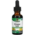 Імбир, 1000 мг, екстракт кореня без спирту, Ginger Root, Fluid Extract, Alcohol-Free, Nature's Answer, 30 мл