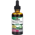Слизький в'яз, 2000 мг, Slippery Elm Extract, Nature's Answer, 60 мл