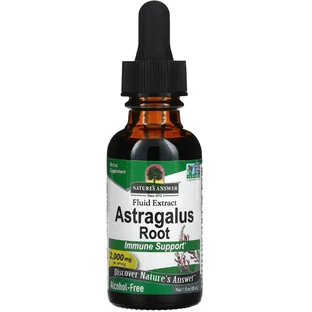 Экстракт астрагала без спирта, 2000 мг, Astragalus Root, Nature's Answer, 30 мл