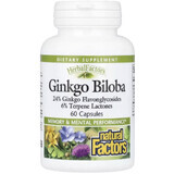 Гінкго Білоба, Ginkgo Biloba, Natural Factors, 60 капсул