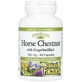 Конский каштан с виноградными косточками, 350 мг, HerbalFactors, Horse Chestnut with GrapeSeedRich, Natural Factors, 60 капсул