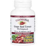 Экстракт виноградных косточек, 100 мг, GrapeSeedRich, Grape Seed Extract, Natural Factors, 60 вегетарианских капсул: цены и характеристики