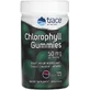 Хлорофіл, 50 мг, смак ягід, Chlorophyll Gummies, Trace Minerals, 60 жувальних цукерок