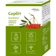 Сахарозаменитель Сорбит порошок 250 г Solution Pharm 