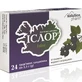 Іслор льодяники трав'яні зі смаком чорної смородини № 24 Solution Pharm