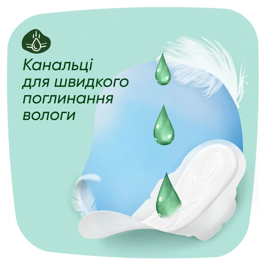 Прокладки гігієнічні жіночі Naturella Ultra Normal Plus Duo Ніжний захист №16 : ціни та характеристики