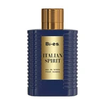 BI-ES Italian Spirit Туалетная вода мужская, 100 мл: цены и характеристики