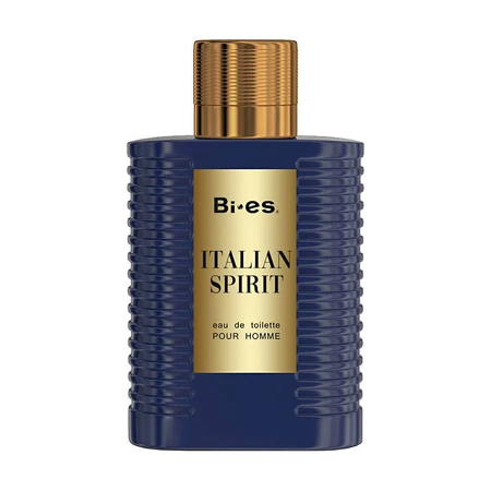 BI-ES Italian Spirit Туалетная вода мужская, 100 мл: цены и характеристики