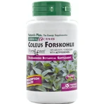 Форсколин Natures Plus Herbal Actives Coleus Forskohlii 125 мг, 60 капсул: цены и характеристики