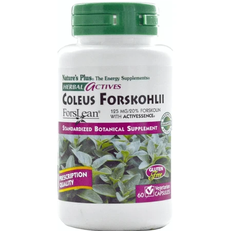 Форсколин Natures Plus Herbal Actives Coleus Forskohlii 125 мг, 60 капсул: цены и характеристики