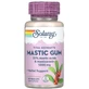 Экстракт смолы мастикового дерева,Solaray Mastic Gum, 1000 мг, 45 вегетарианских капсул (500 мг на капсулу)