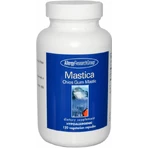 Смола мастикового дерева Allergy Research Group Gum Mastic, 120 капсул: ціни та характеристики