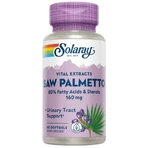 Экстракт ягод Со пальметто Solaray Saw Palmetto 160 мг, 60 гелевых капсул: цены и характеристики