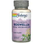 Босвелия Solaray Boswellia 450 мг, 60 капсул: цены и характеристики