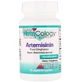 Артемизин (артемизинин) Nutricology Artemisinin, 90 капсул